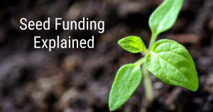 Sprout symbolizing the early growth of a startup upon receiving seed funding